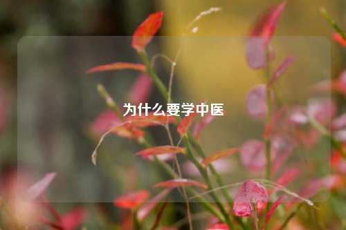 为什么要学中医